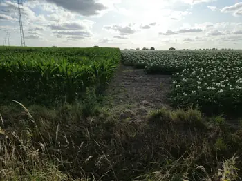 Bellegem, West-Vlaanderen (België)